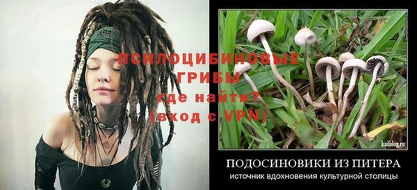 прущий лед Алексеевка