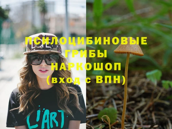 наркотики Алексин
