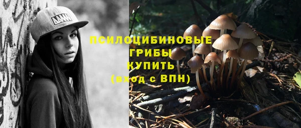 прущий лед Алексеевка