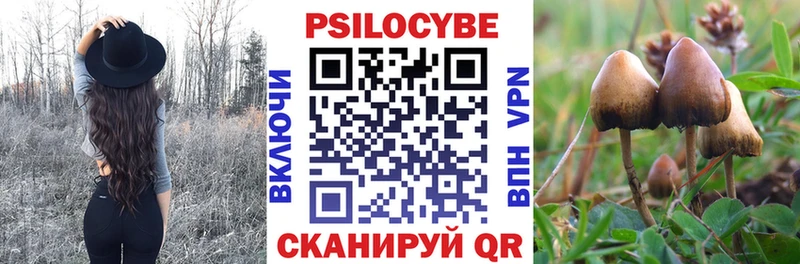 Галлюциногенные грибы Psilocybe  Солнечногорск 