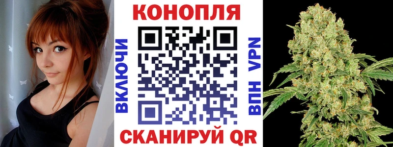 Бошки марихуана планчик купить Солнечногорск